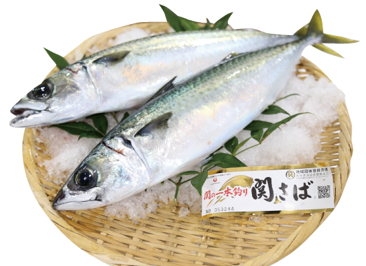 関さば