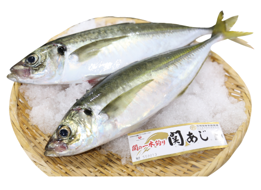 関あじ