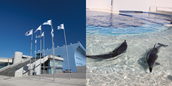 大分マリーンパレス水族館「うみたまご」