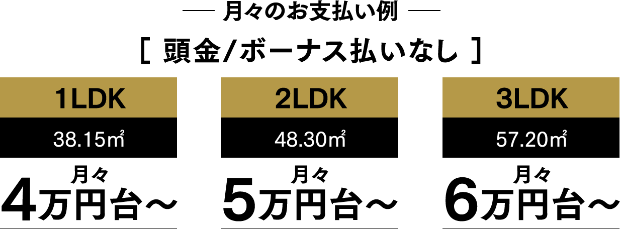 月々のお支払い例